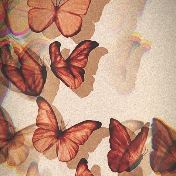 Meet your Posher, Eeleah - Picture 1 of 1